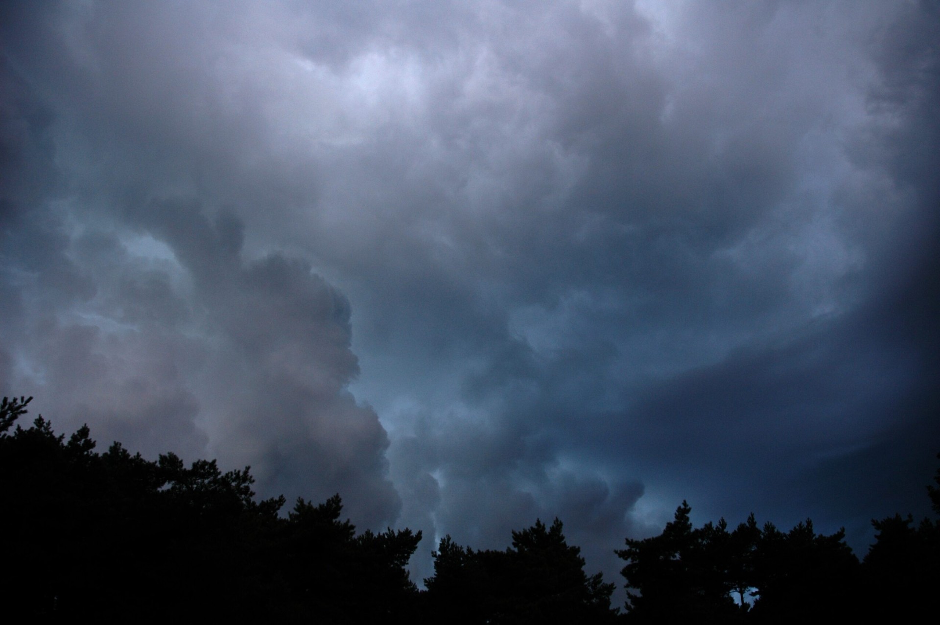 Cinematic storm clouds over a dark forest